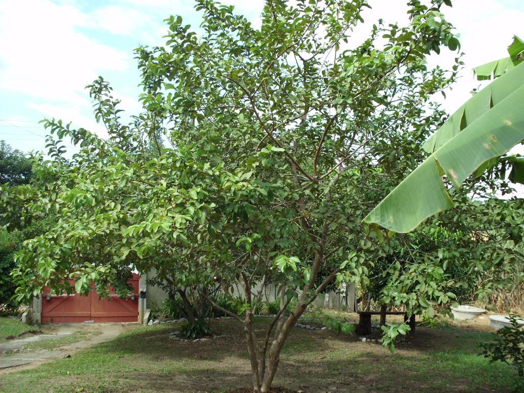 Pousada Pimenta Rosa Saquarema Eksteriør bilde